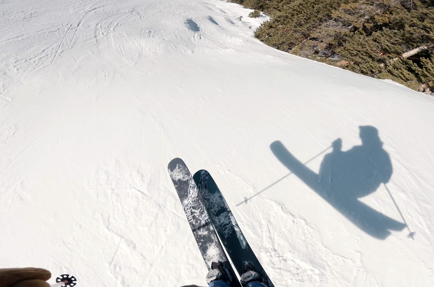 Blister reviews the 4FRNT Sinister.