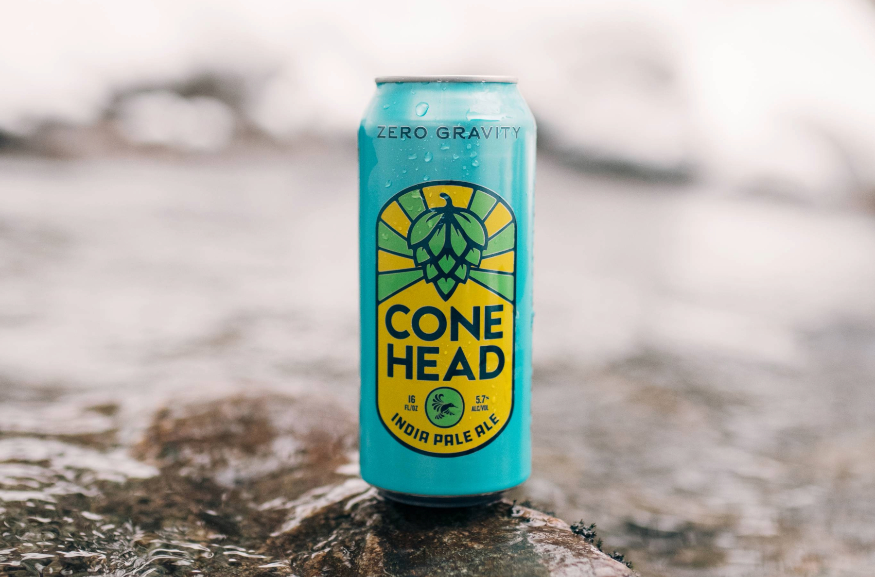 Zero Gravity Beer: 20 Years of Independent, Craft Brewing in Vermont (Ep. 98)