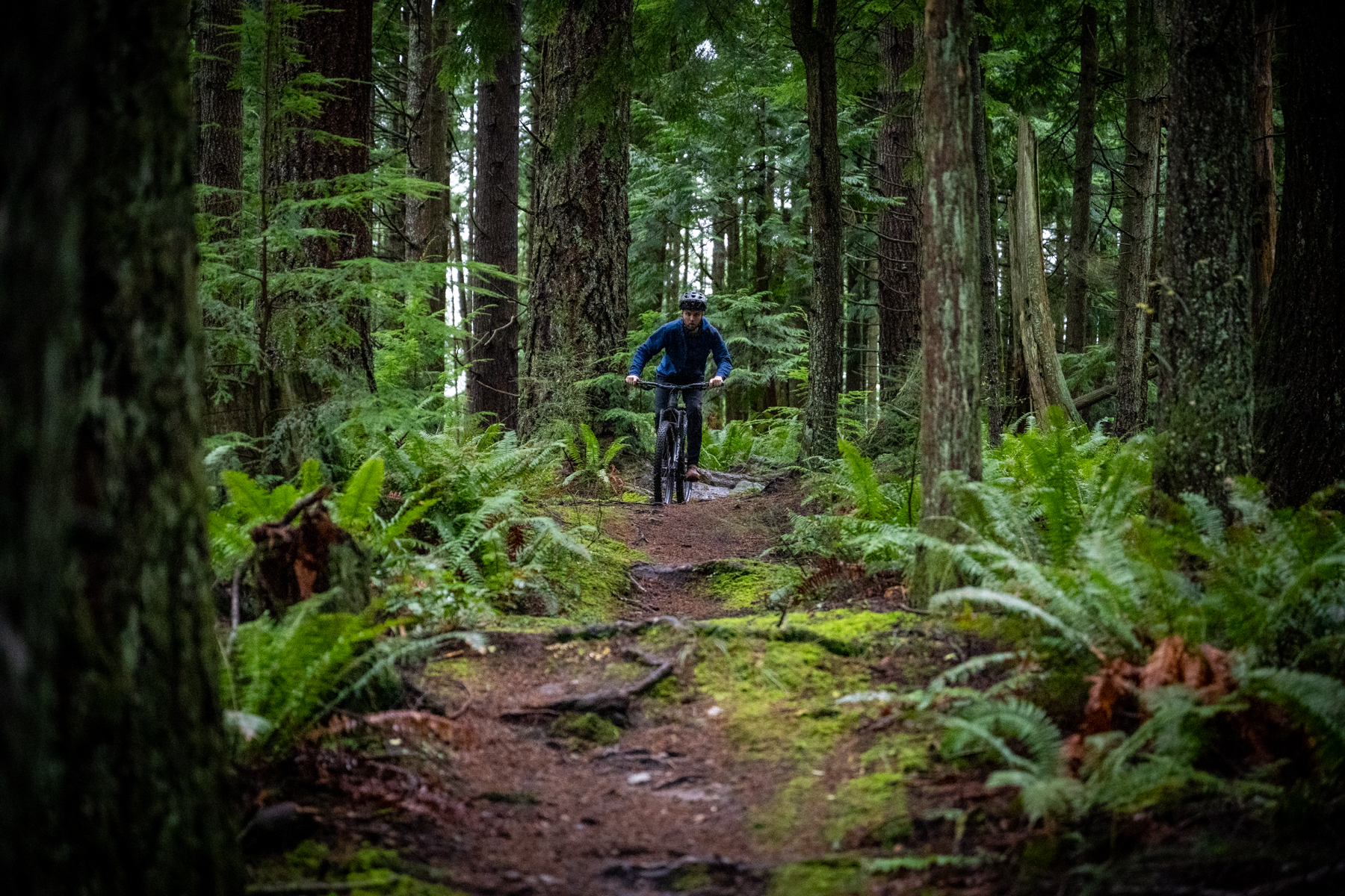 David Golay reviews the Evil Offering for BLISTER