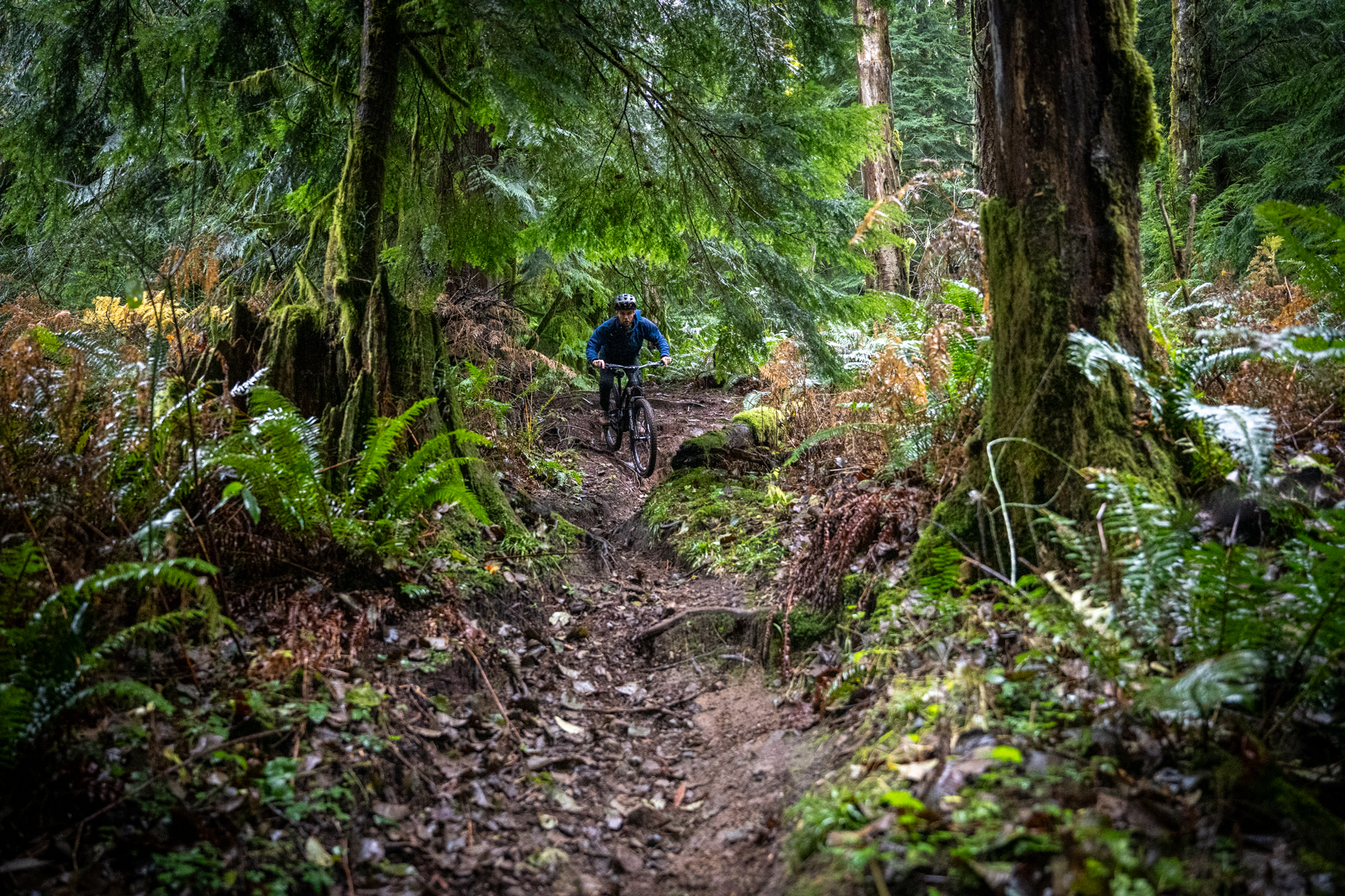 David Golay reviews the Evil Offering for BLISTER