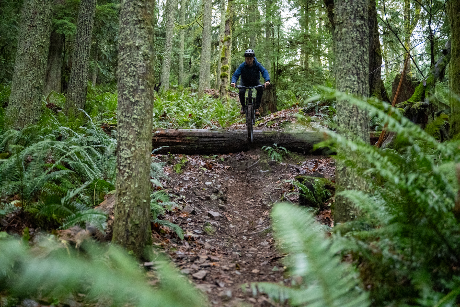 David Golay reviews the Evil Offering for BLISTER