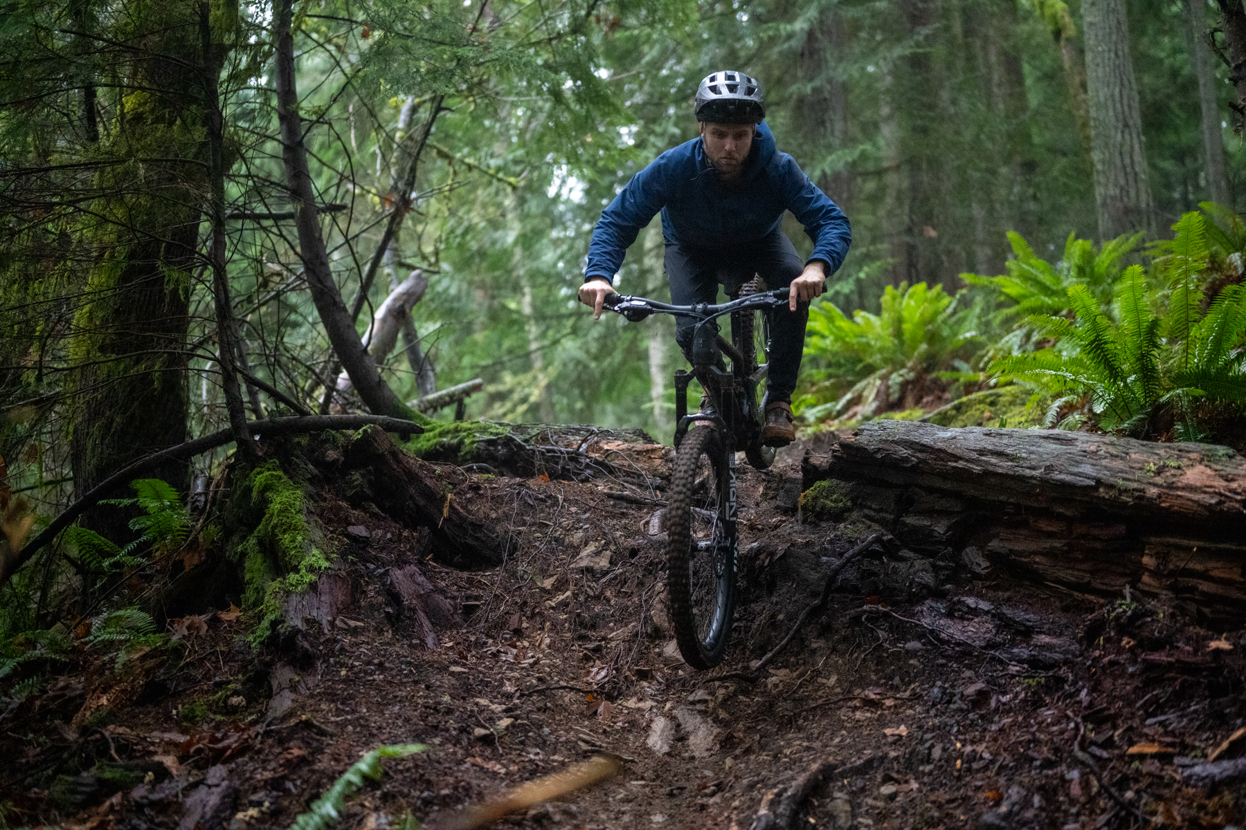 David Golay reviews the Evil Offering for BLISTER