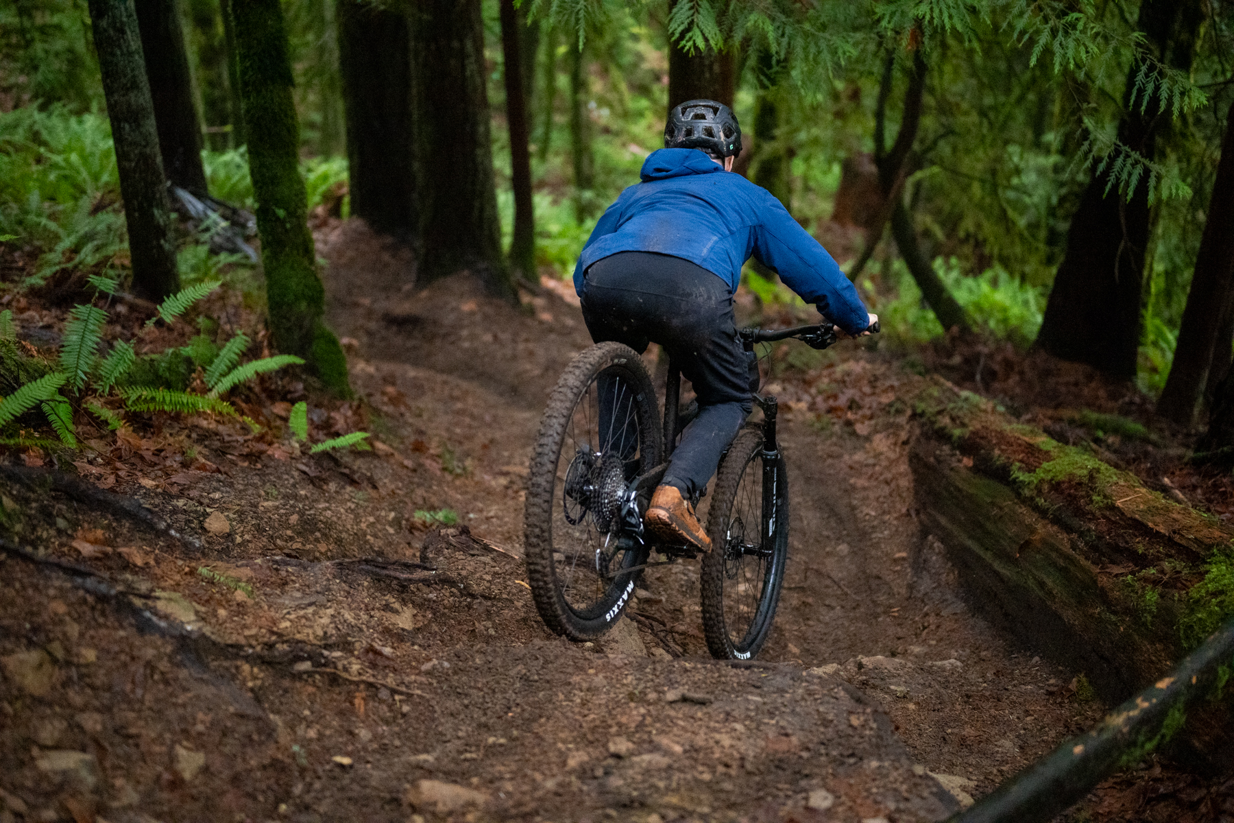 David Golay reviews the Evil Offering for BLISTER