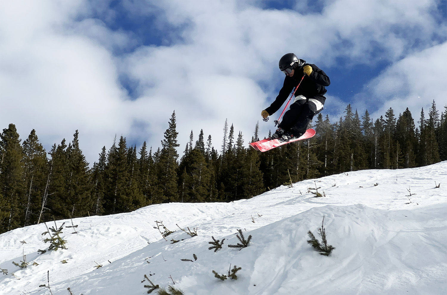 1000 Skis All Mountain