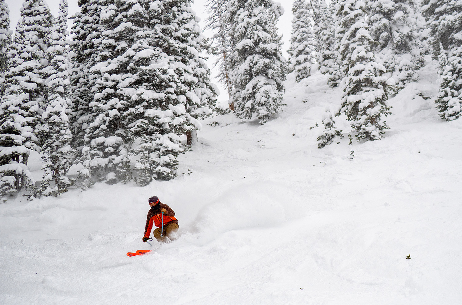 2026-2027 Blizzard Canvas 118