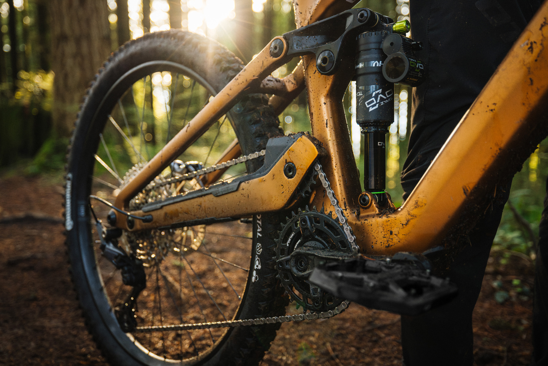 David Golay reviews the Norco Sight VLT TQ for Blister