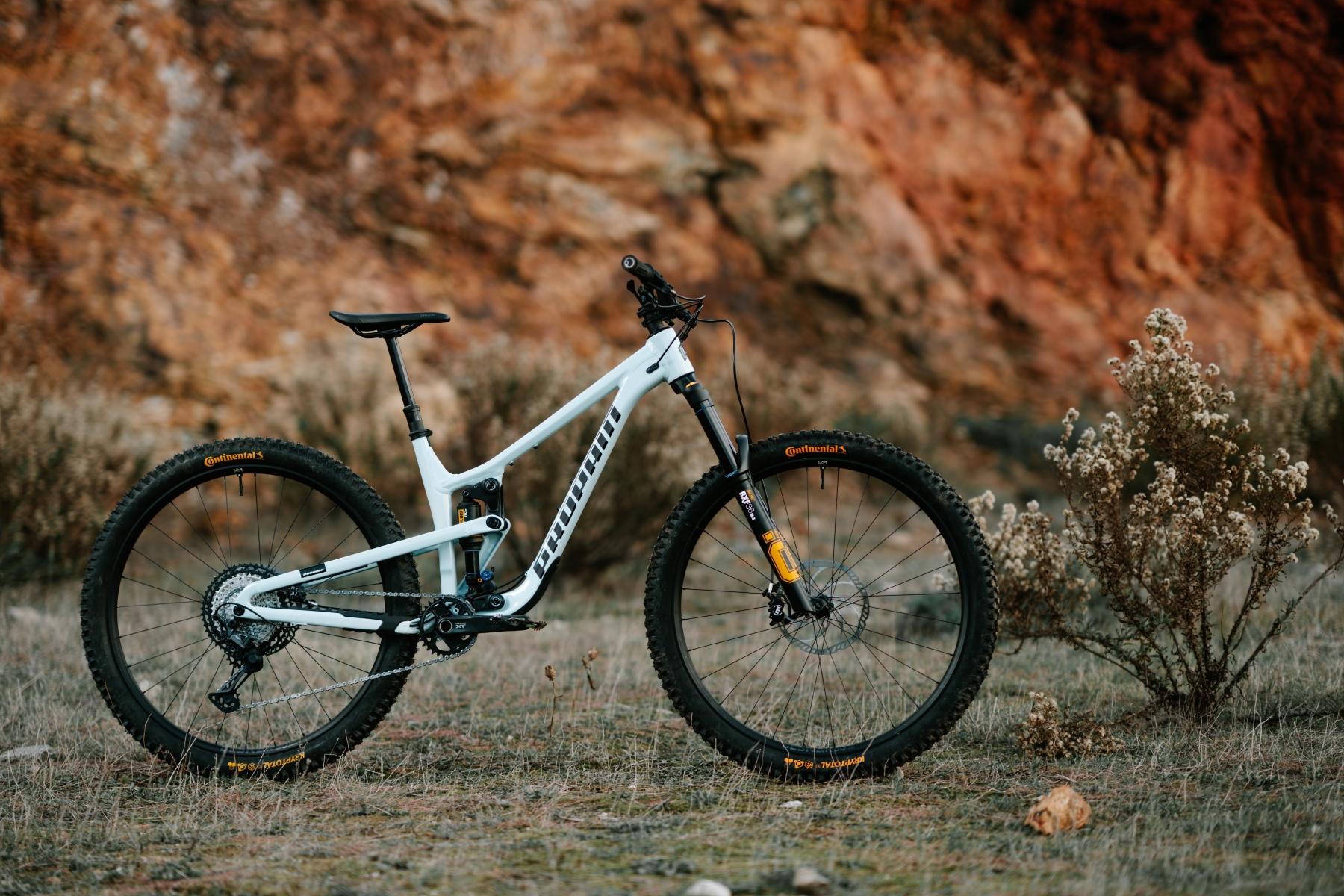 BLISTER reviews the Propain Tyee Trail