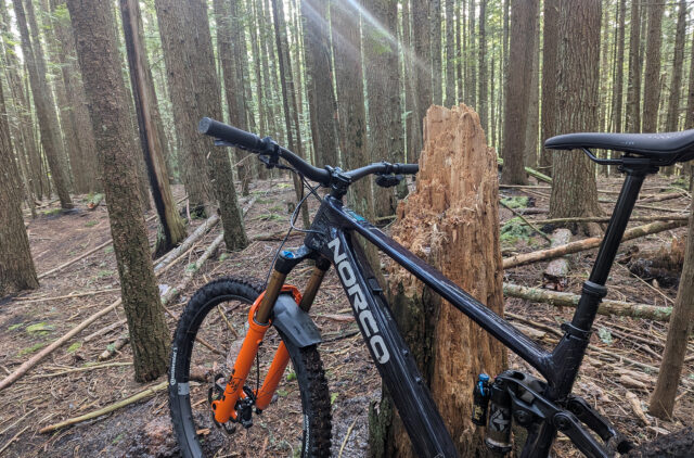 David Golay reviews the Norco Sight VLT TQ for Blister