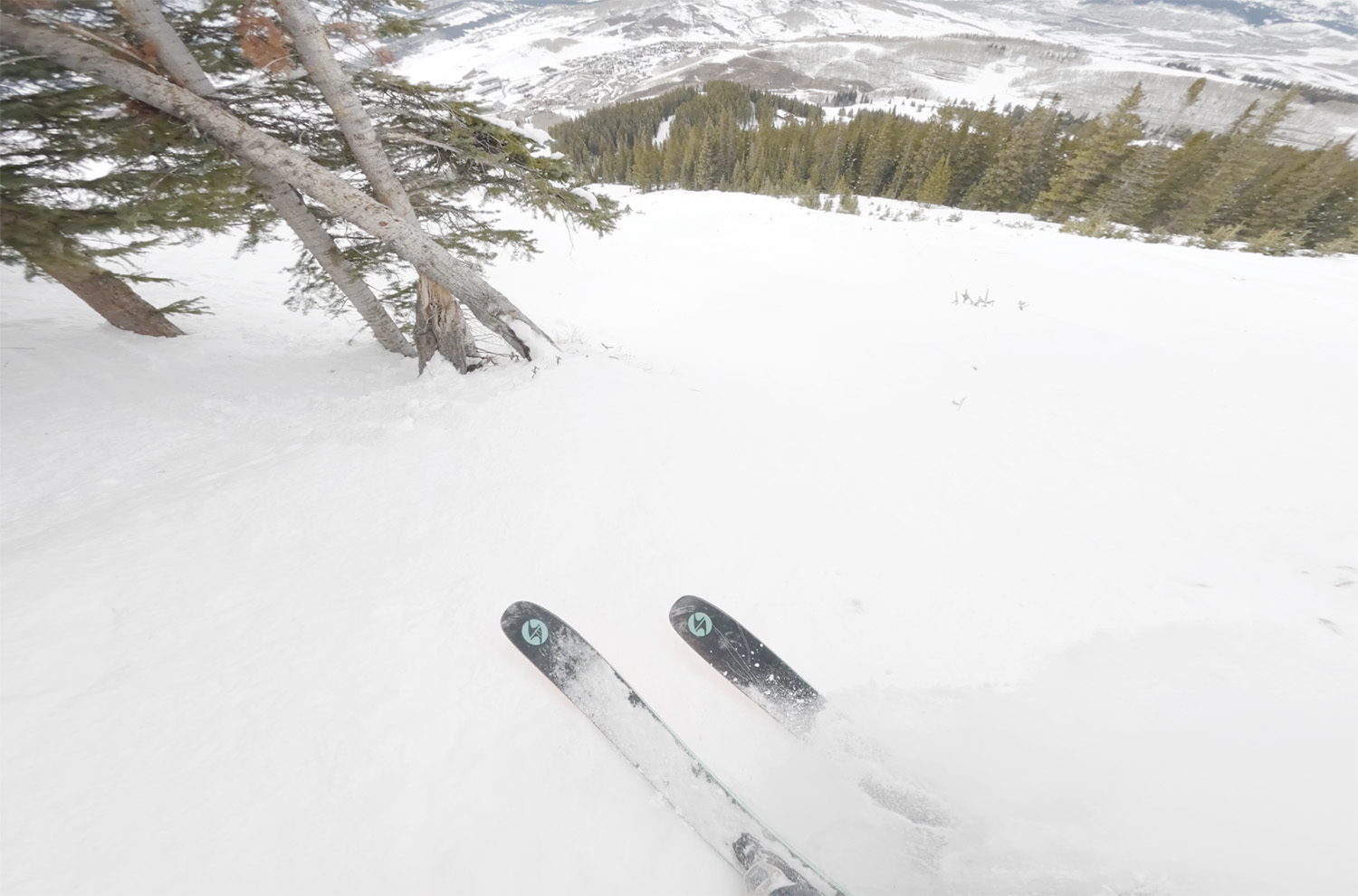 2026-2027 Blizzard Canvas 108